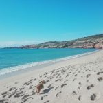 marinedda