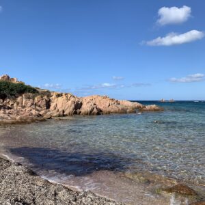 Banchi di posidonia a Cala Sarraina