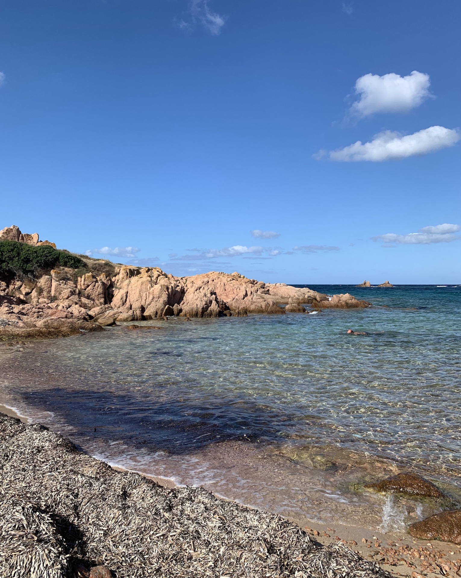 Banchi di posidonia a Cala Sarraina